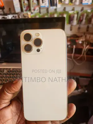 Apple iPhone 13 Pro Max 256 GB White