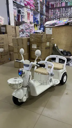 Electric Twin Scooter