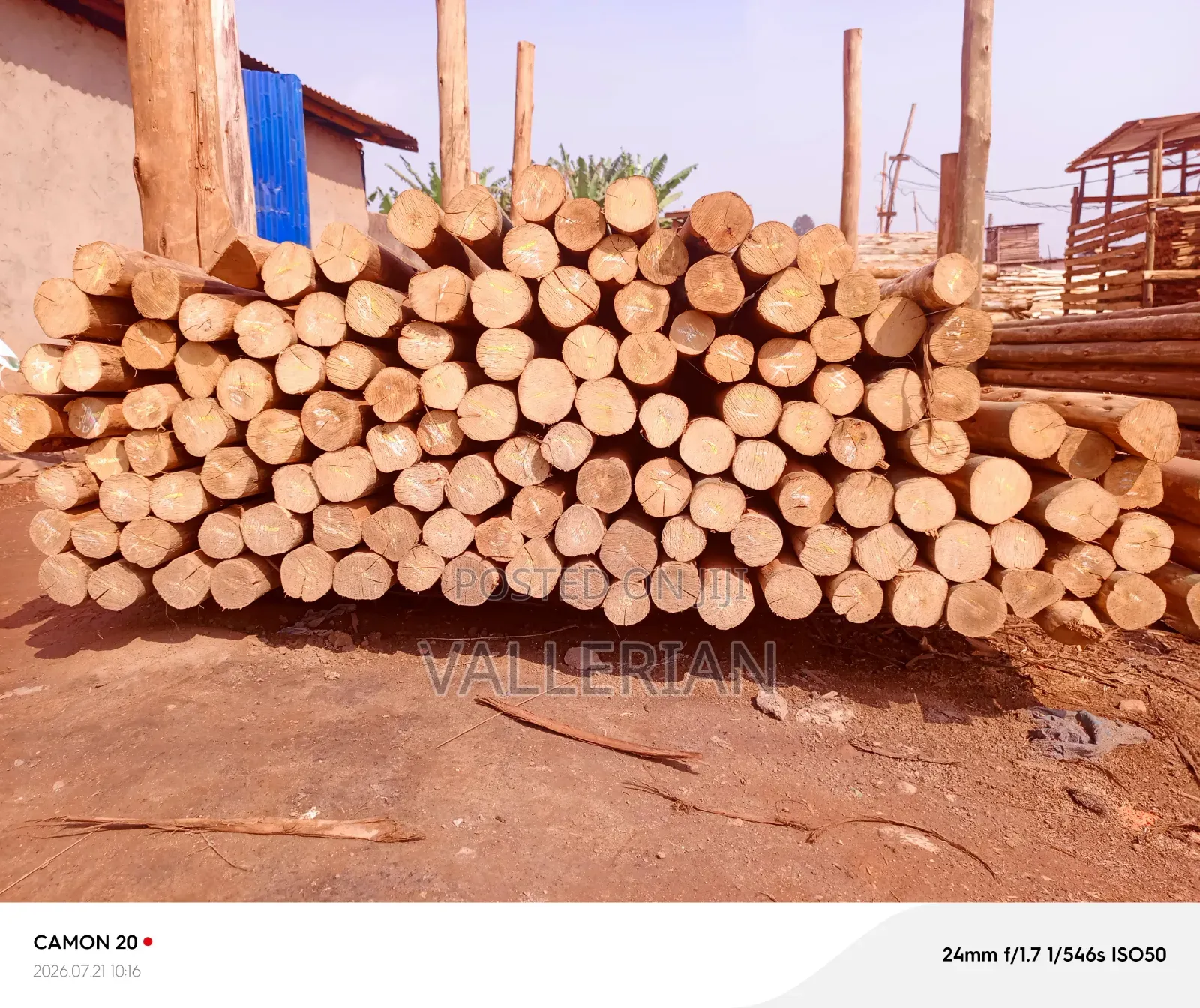 Rafters for Sale