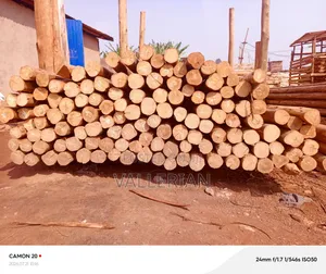 Rafters for Sale