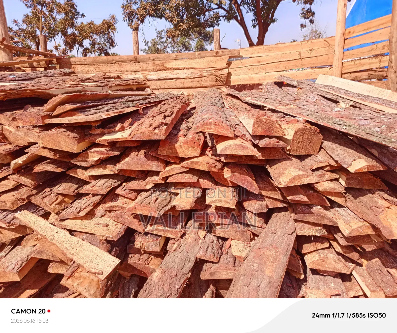 Makooko Tree Offcuts