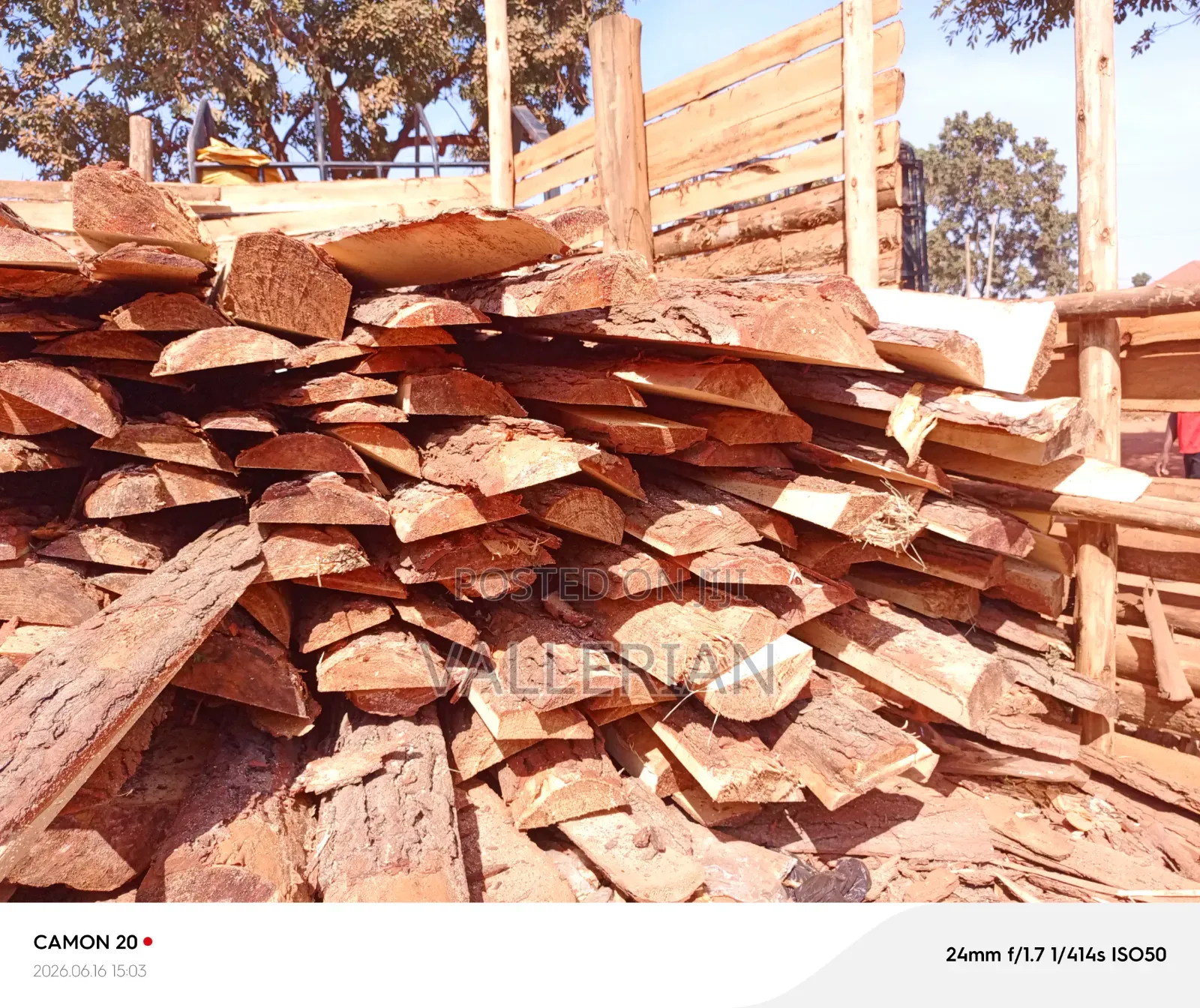 Makooko Tree Offcuts