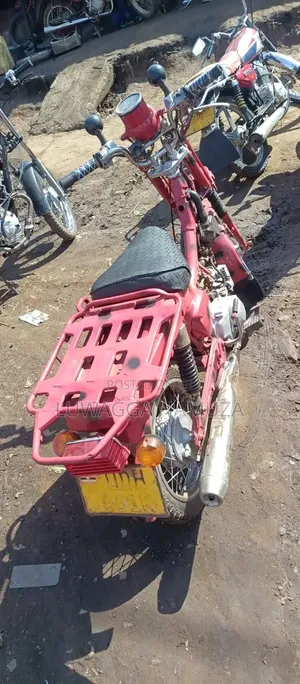 Suzuki Sport 2024 Red