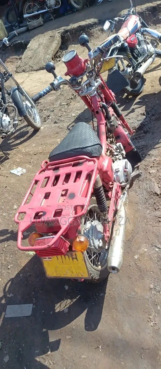 Suzuki Sport 2024 Red