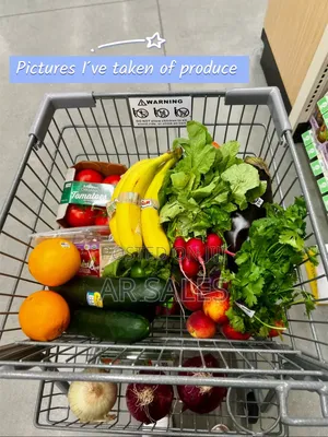 Best Colds Fresh at Low Cost