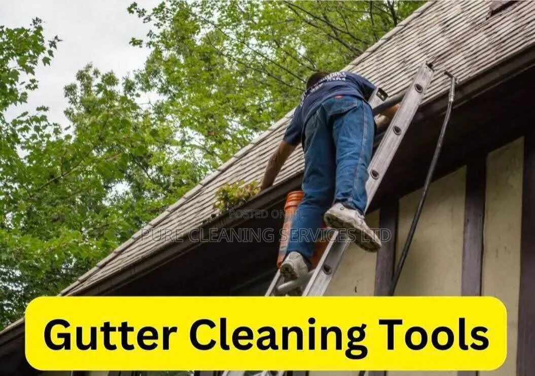 Gutter Cleaning