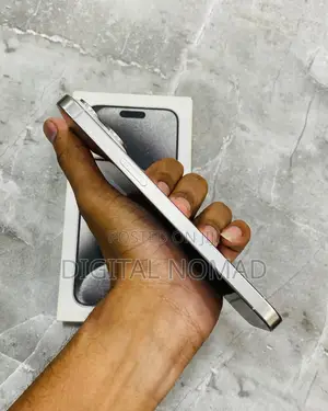 Apple iPhone 15 Pro Max 256 GB Gray
