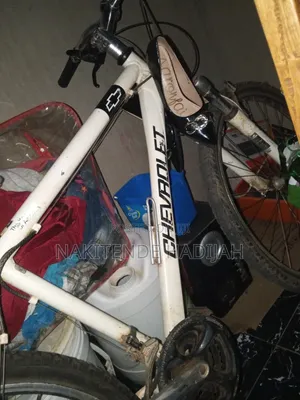 Mountain Bicycle