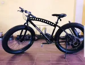 Mud Skipper Bicycle