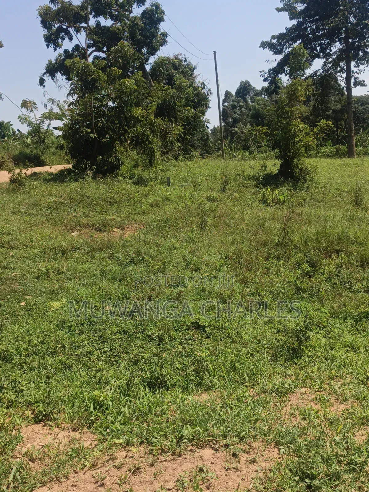 Plots Available on Sale in Kiwenda
