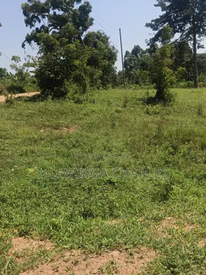 Plots Available on Sale in Kiwenda