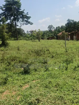 Plots Available on Sale in Kiwenda