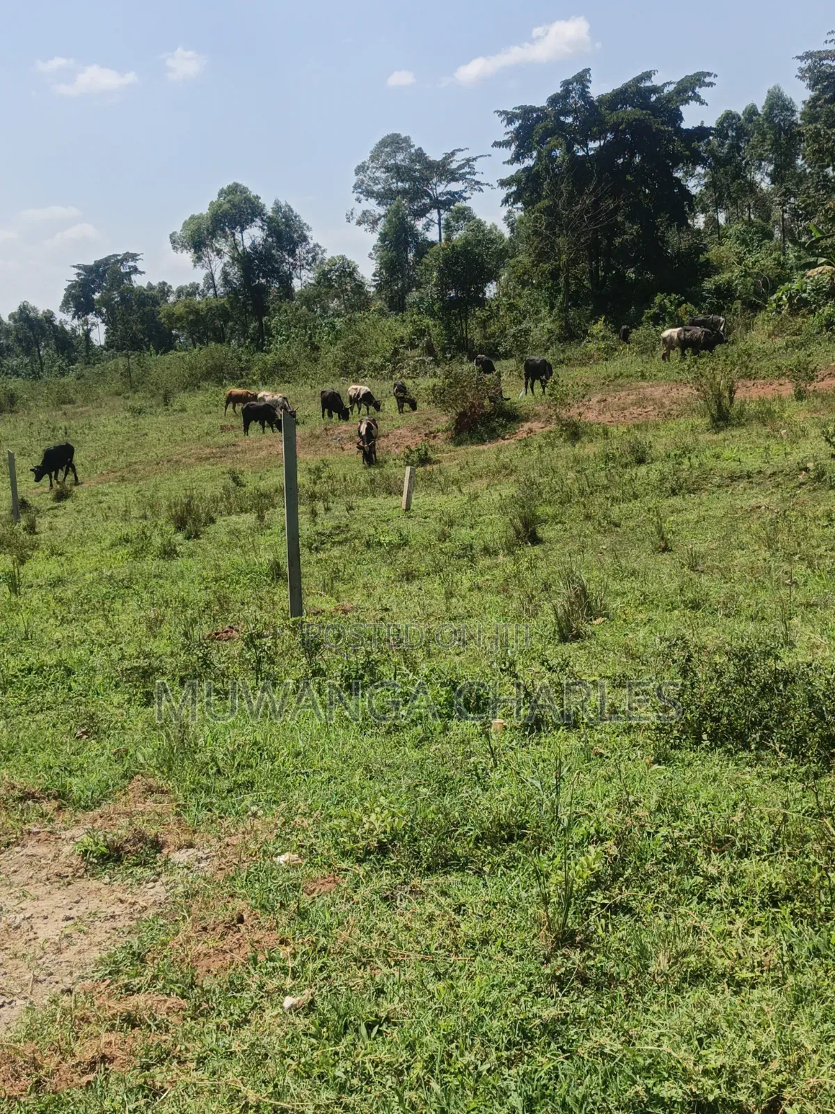 Plots Available on Sale in Kiwenda