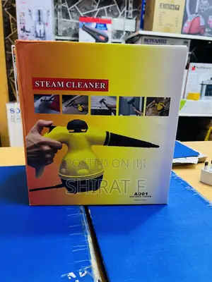Portable Steam Cleaner