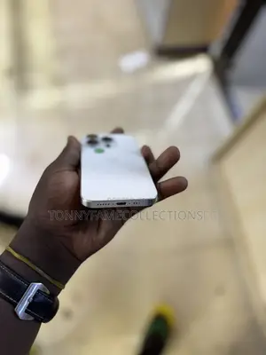 Apple iPhone 15 Pro 256 GB Silver