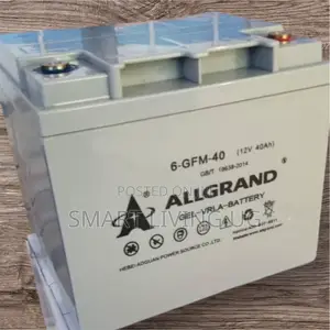 Durable 40a Allgrand Gel Battery for Powerful Energy