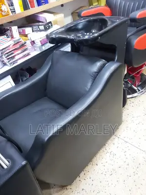Salon Sink