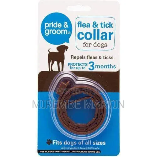 Flea and Tick for Dogs