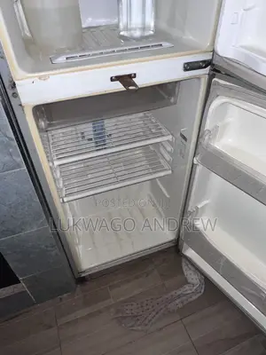 Double Door Fridge