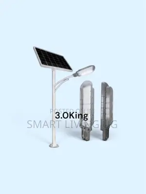 3.0 King Light Solar Street Light –Outdoor Security Lighting