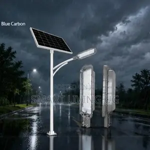 3.0 King Light Blue Carbon – High Performance Solar Street Light