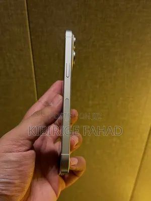New Apple iPhone 15 Pro Max 256 GB Gray
