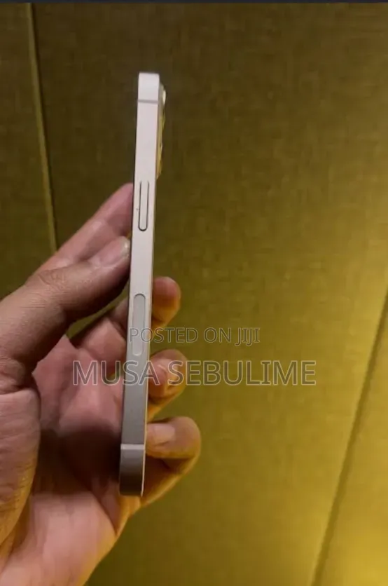 New Apple iPhone 13 Pro Max 256 GB Silver