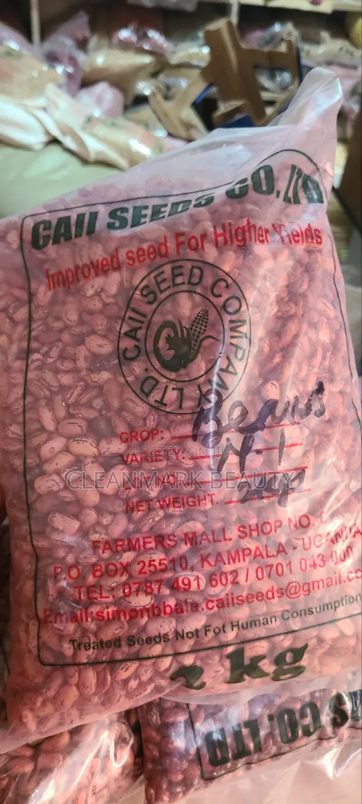 High Yield Beans