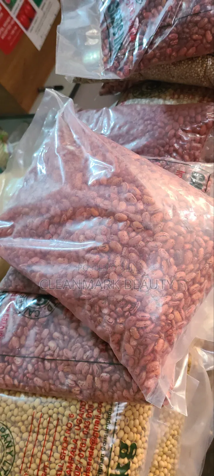 High Yield Beans