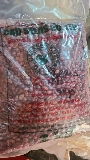 High Yield Beans