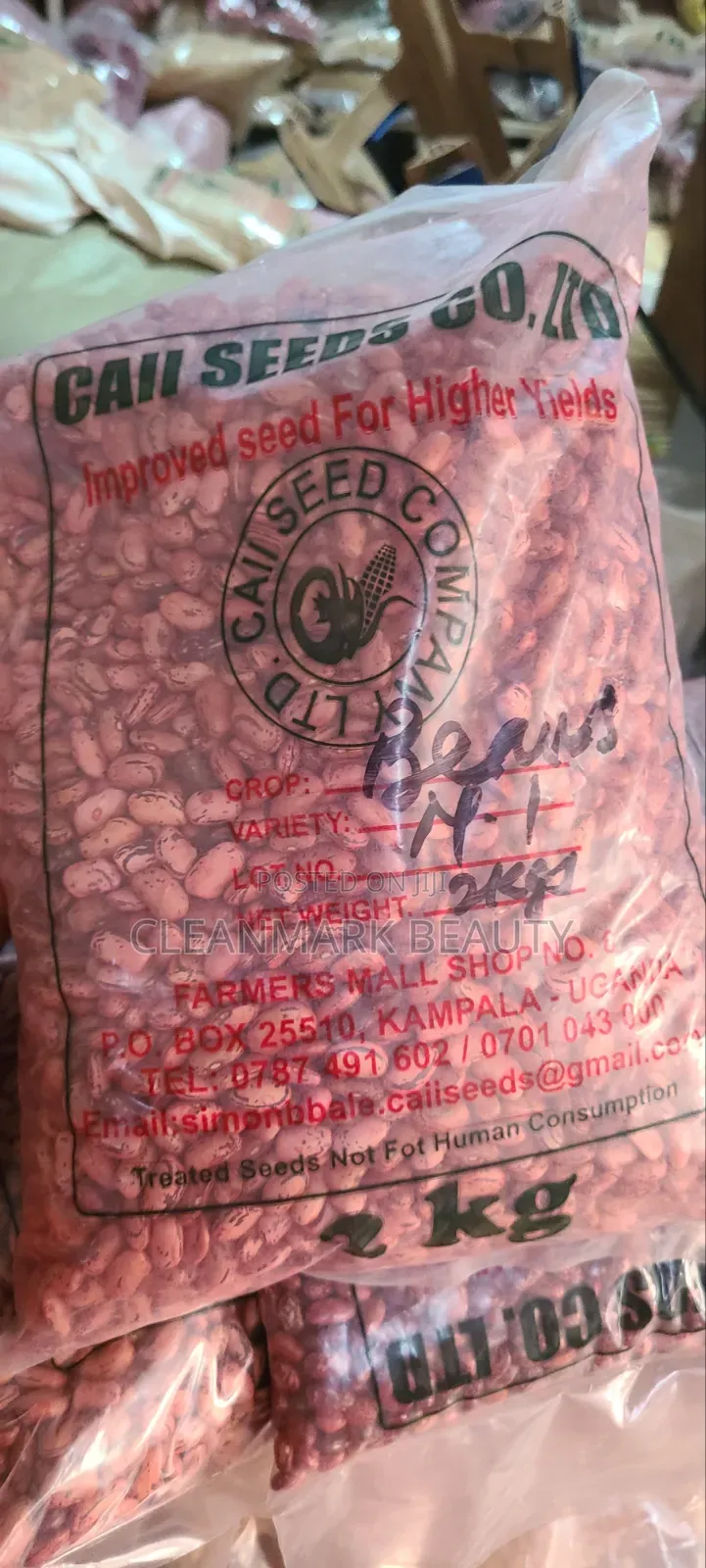 High Yield Beans
