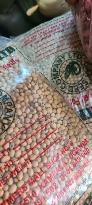 1kg High Yield Soybeans