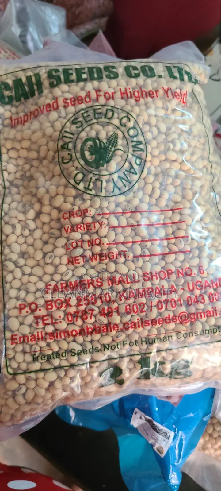 1kg High Yield Soybeans