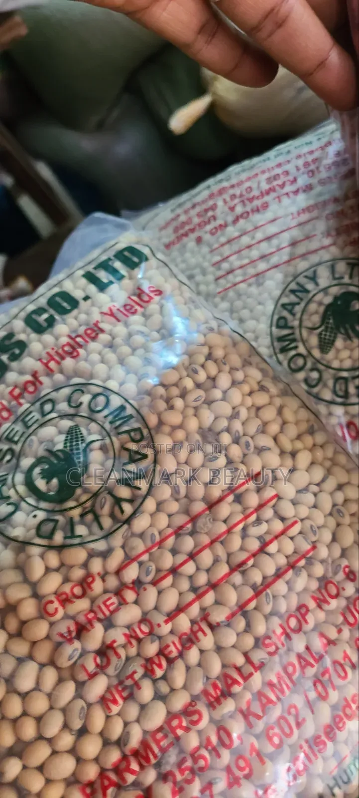 1kg High Yield Soybeans