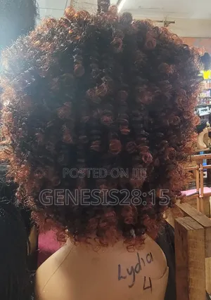 Bebe Short Wig