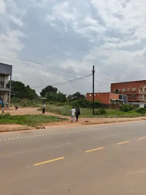 And for Sale – Lakeview Commercial Plot