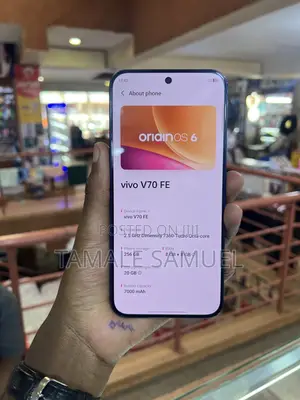 Vivo V70 256 GB Blue