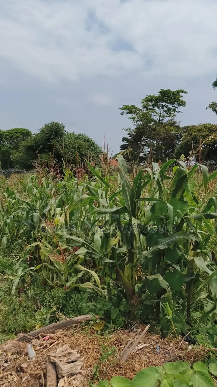  Lakeshore Land for Sale – Garuga, Entebbe Road