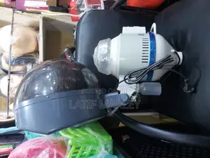 Hair Steamer