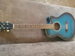 Acoustic Guitar