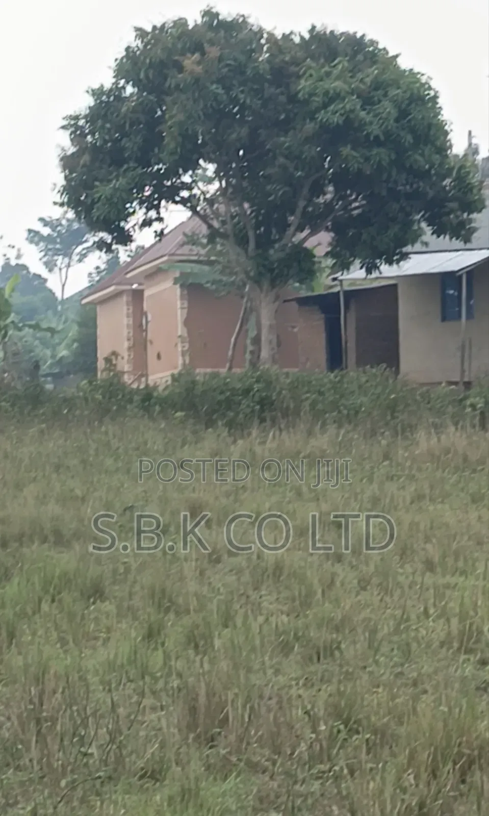 Plot for Quick Sale.