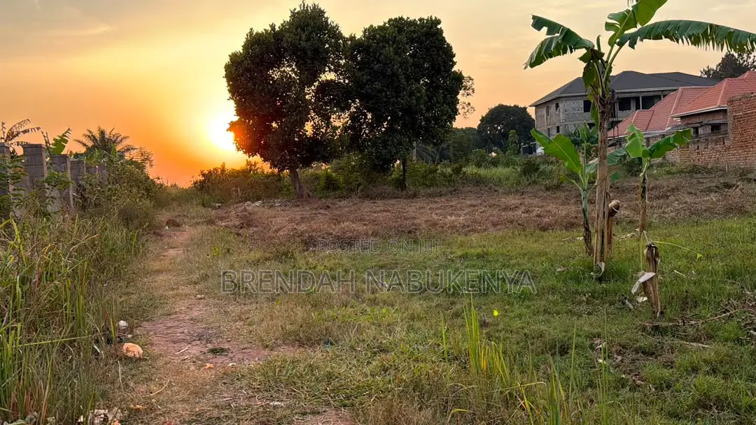 QUICK CASH SALE: Prime 50x100 Plot in Kira Buwate