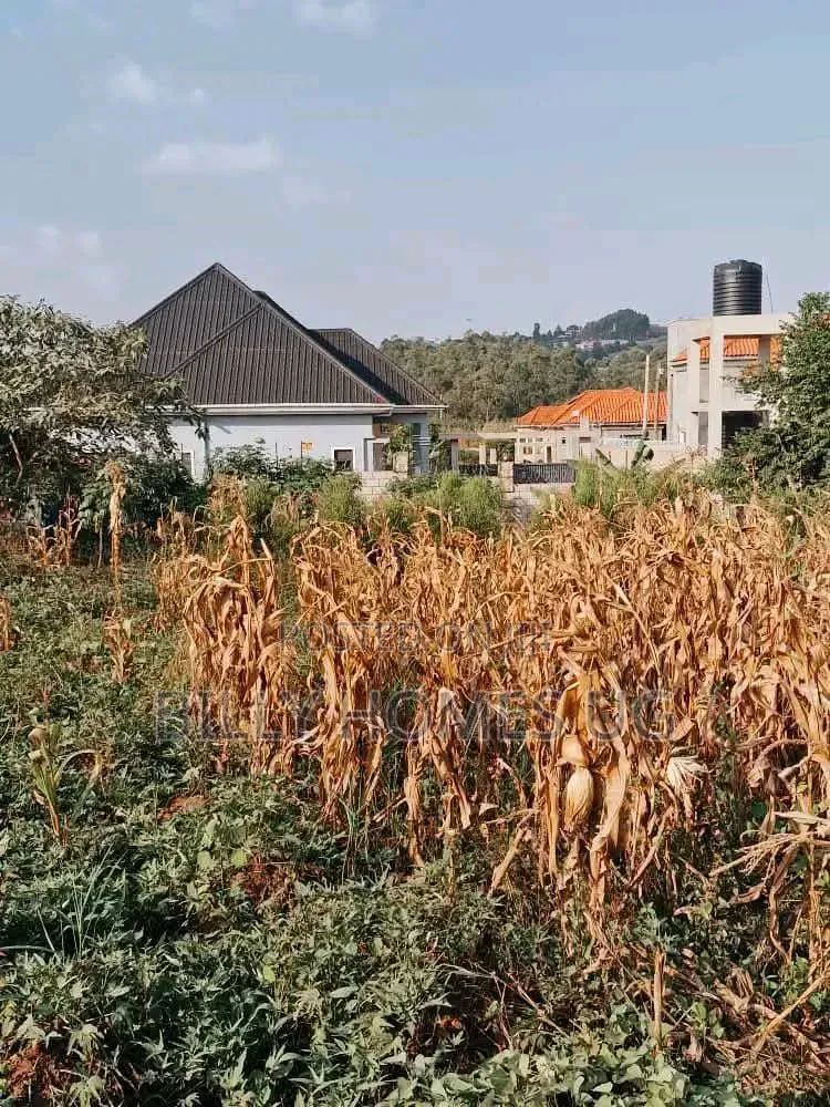 Plot for Sale Located in Kira-Nsasa
