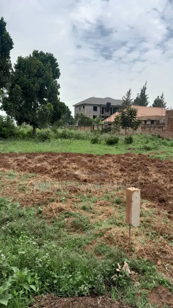 QUICK CASH SALE: Prime 50x100 Plot in Kira Buwate