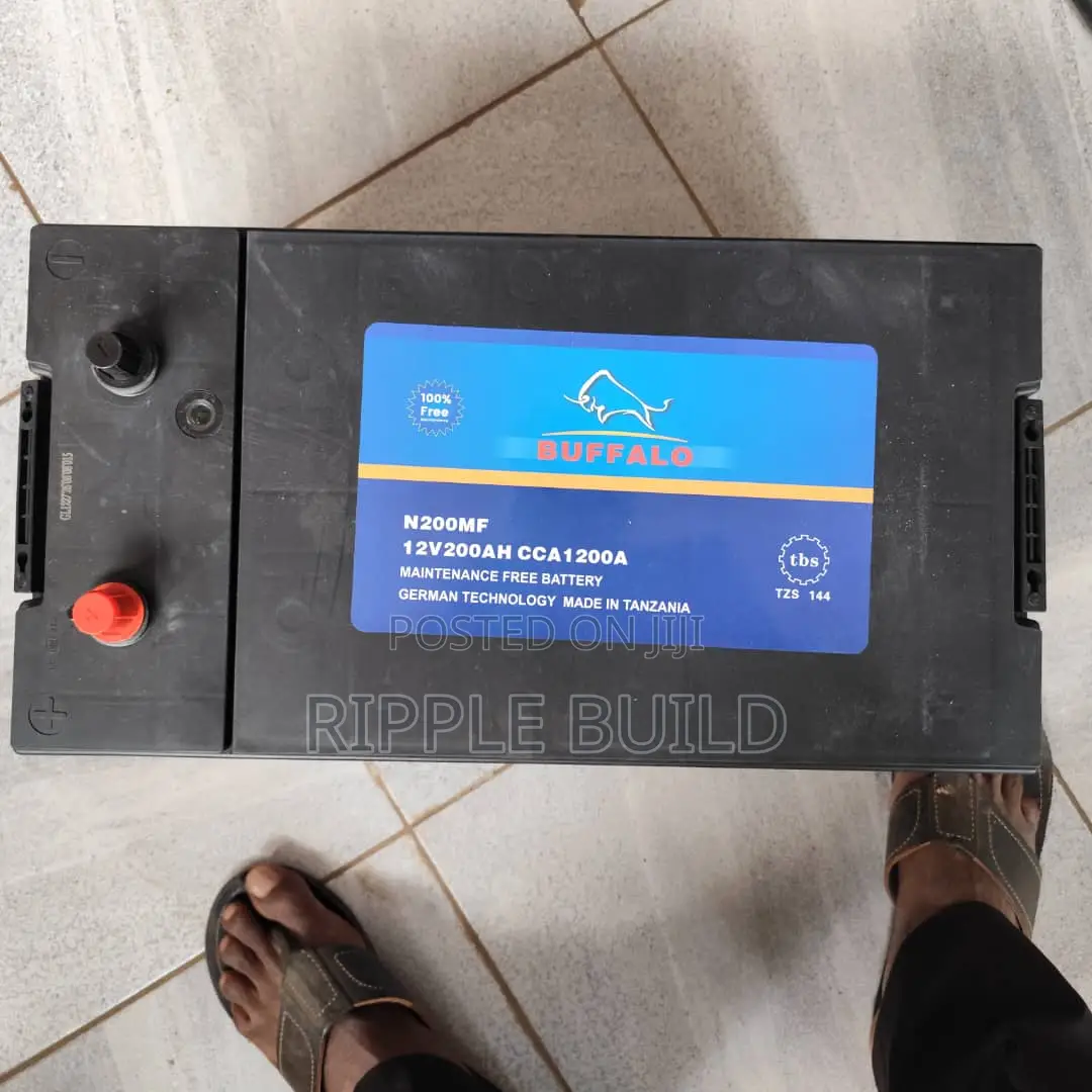 200Ah Buffalo Chloride Exide N200MF 1200CCA Car Battery 12V