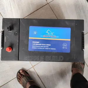 200Ah Buffalo Chloride Exide N200MF 1200CCA Car Battery 12V
