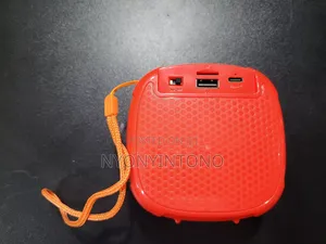 DV-1006 Mini Portable Speaker