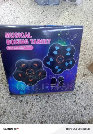 Musical Boxing Target Machine