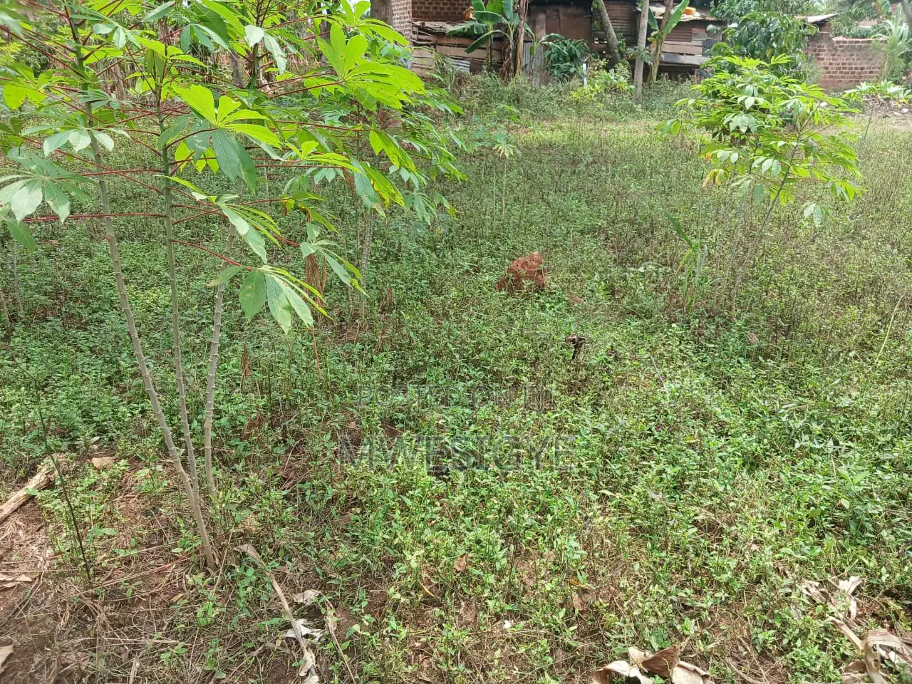 Plot of Land