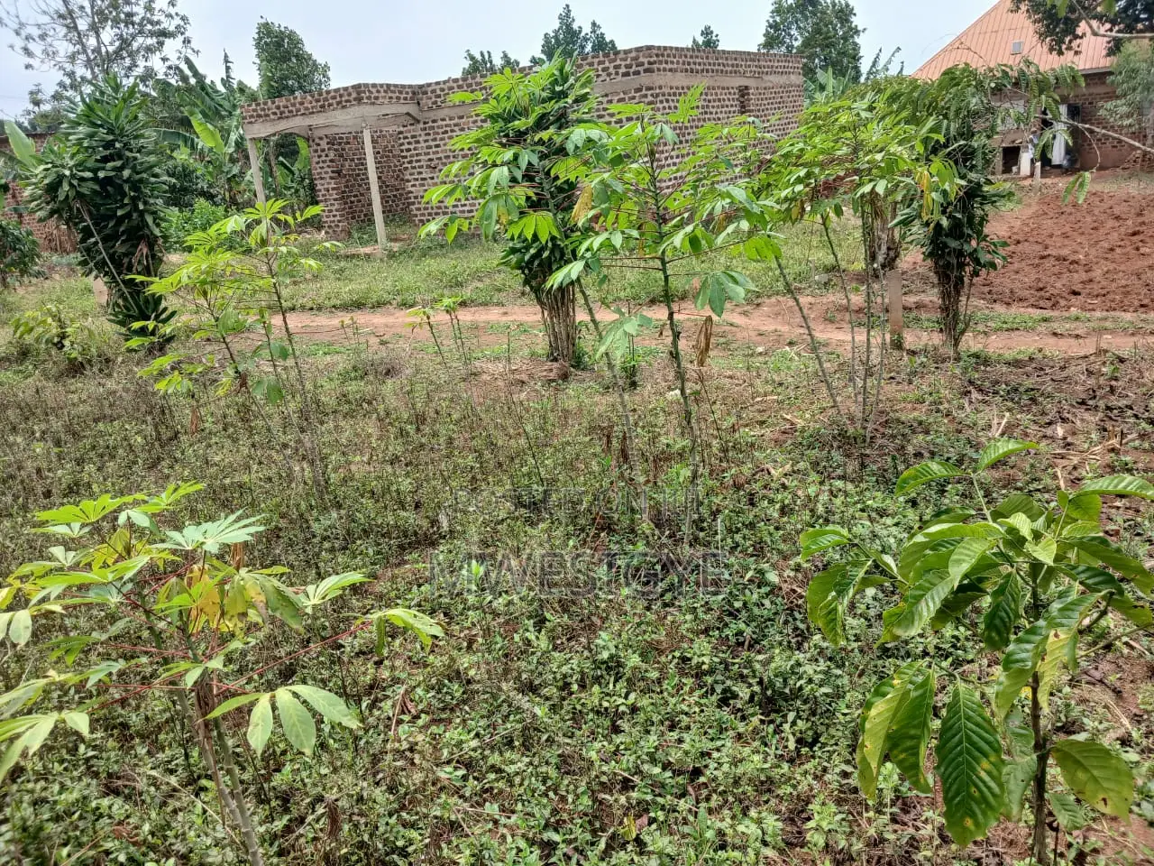 Plot of Land